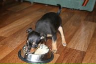 Фотография Чусова Дмитрия