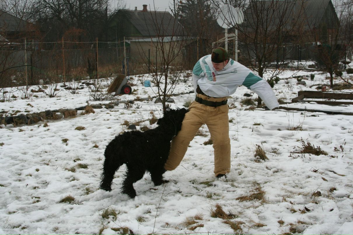 Сергей Пересунчак фотография #25