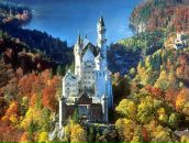 Фотография Топалова Максима