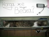 Фотография Падалко Александра