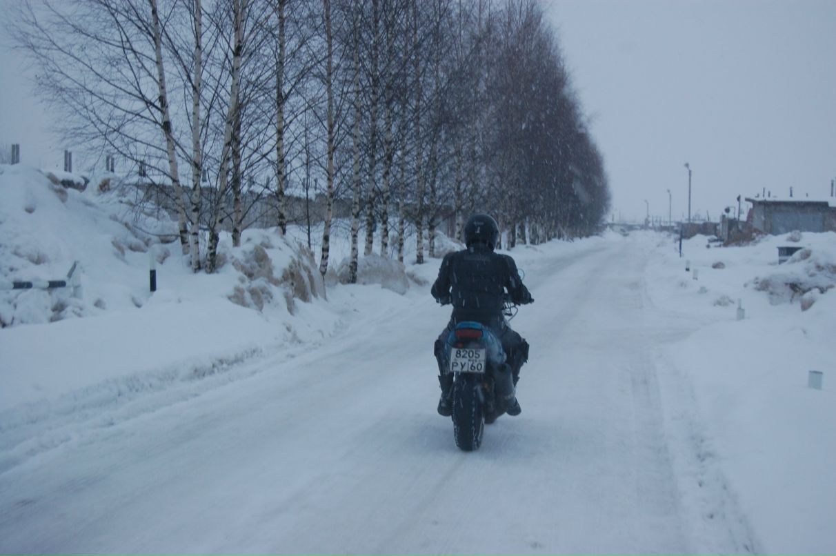 Дмитрий Цвык фотография #15