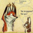 Світлана Бабинець фотография #44 (источник - https://vk.com/id77258910)