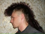 Фотография Корлякова Александра