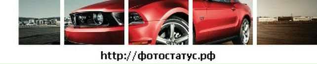 Андрій Кравчук фотография #13 (источник - https://vk.com/id60933573)