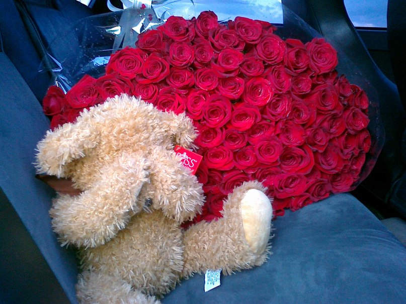 Black Wolf фотография #19