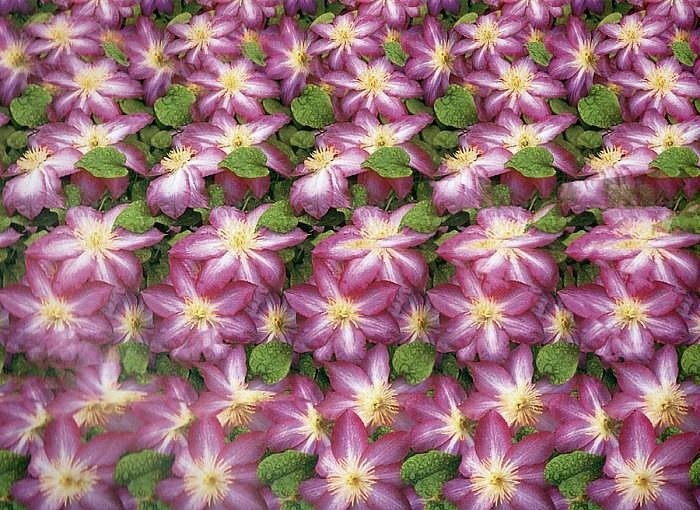 Валера Донской фотография #48