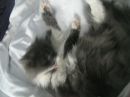 Маша Цісар фотография #10 (источник - https://vk.com/id116768667)