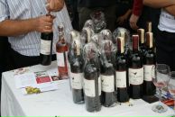 Илона Иванова фотография #20 (источник - https://vk.com/id875602)