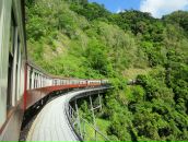 Дмитрий Венгерцев фотография #8 (источник - https://vk.com/id181221)