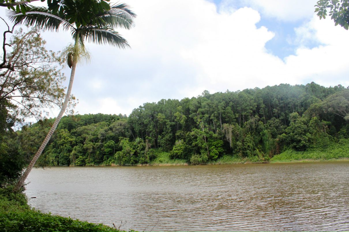 Дмитрий Венгерцев фотография #15