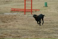 Вова Юрочкін фотография #31 (источник - https://vk.com/id15084244)