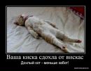 Андрій Мартинович фотография #44 (источник - https://vk.com/id58962999)