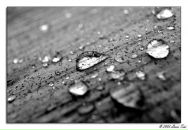 Фотография Цокуровой Луизы