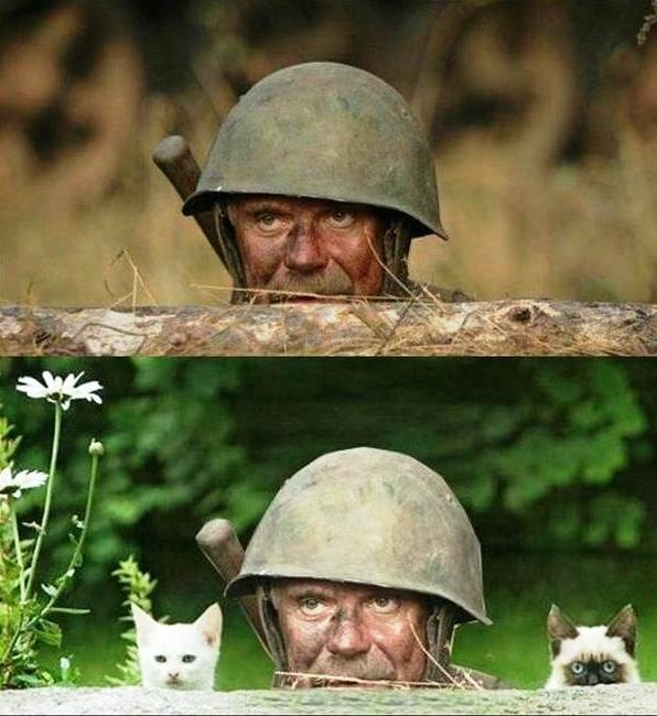 Игорь Алексеев фотография #20