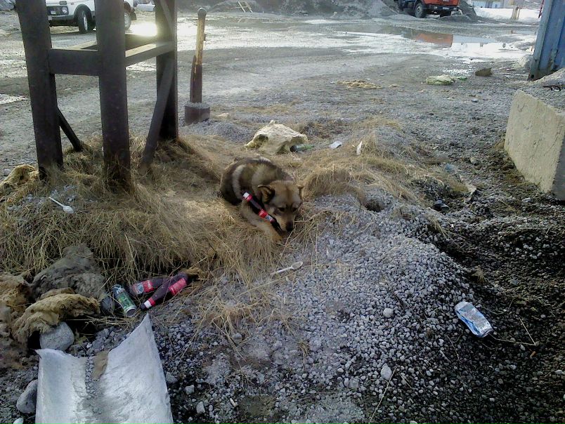 №10, Роман Крепец №10, Роман Крепец