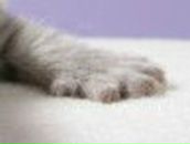 Настя Передерий фотография #41 (источник - https://vk.com/id166318049)