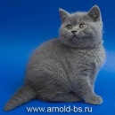 Ілона Блажкун фотография #1