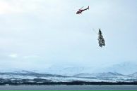 Фотография Strauss Levi