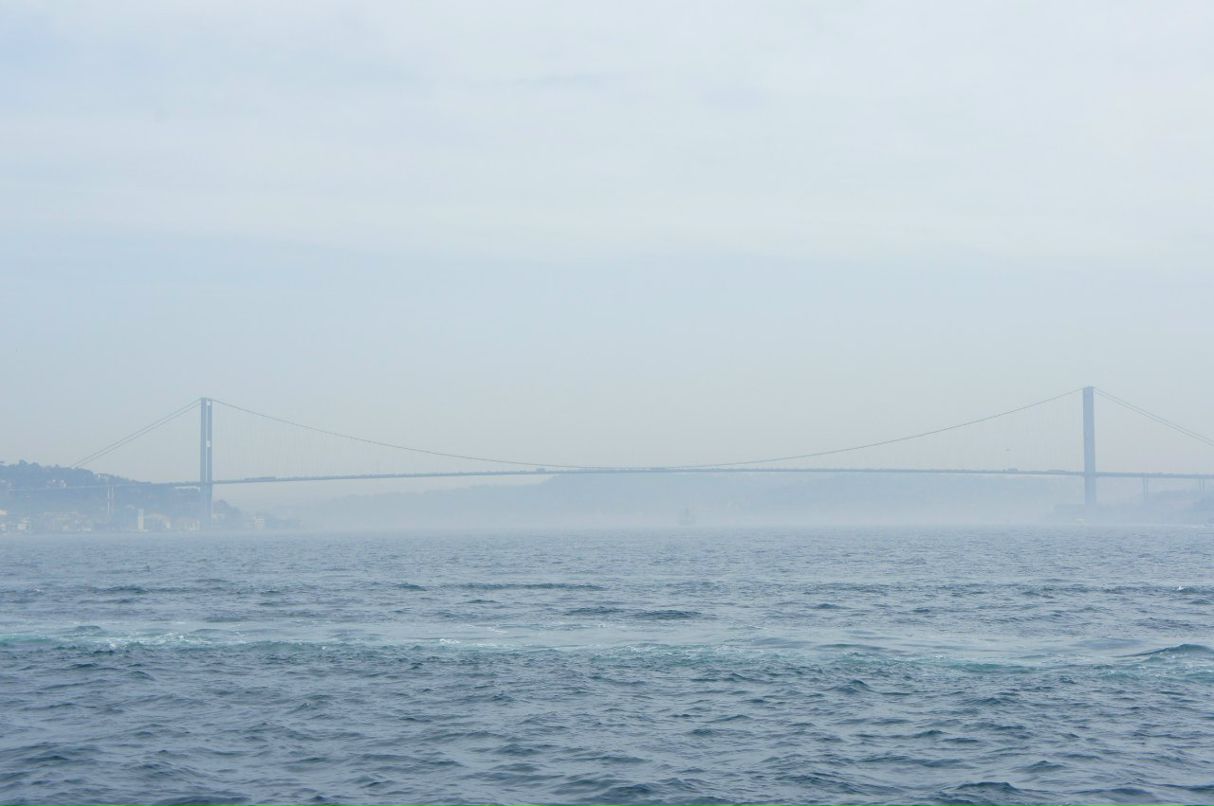 Роман Шипилов фотография #48