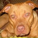 Фотография Гаркуши Андрея