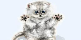 Фотография Каменобродской Валерии