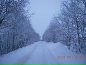 Фотография Меркуловой Елены