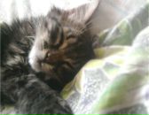 Христя Кілянська фотография #5 (источник - https://vk.com/id85881111)