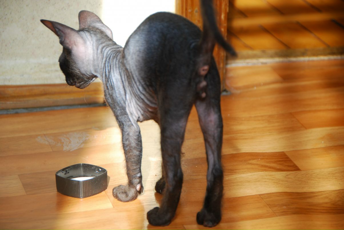 Даниил Стариченко фотография #39