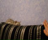 Фотография Козин Максим