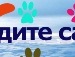 Ілонка Вихопень фотография #40 (источник - https://vk.com/id138294509)