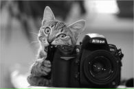 Юрій Солига фотография #48 (источник - https://vk.com/id135905448)