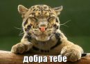 Лєна Ткачук фотография #40 (источник - https://vk.com/id165103669)