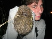 Фотография Чекрыжова Кирилла