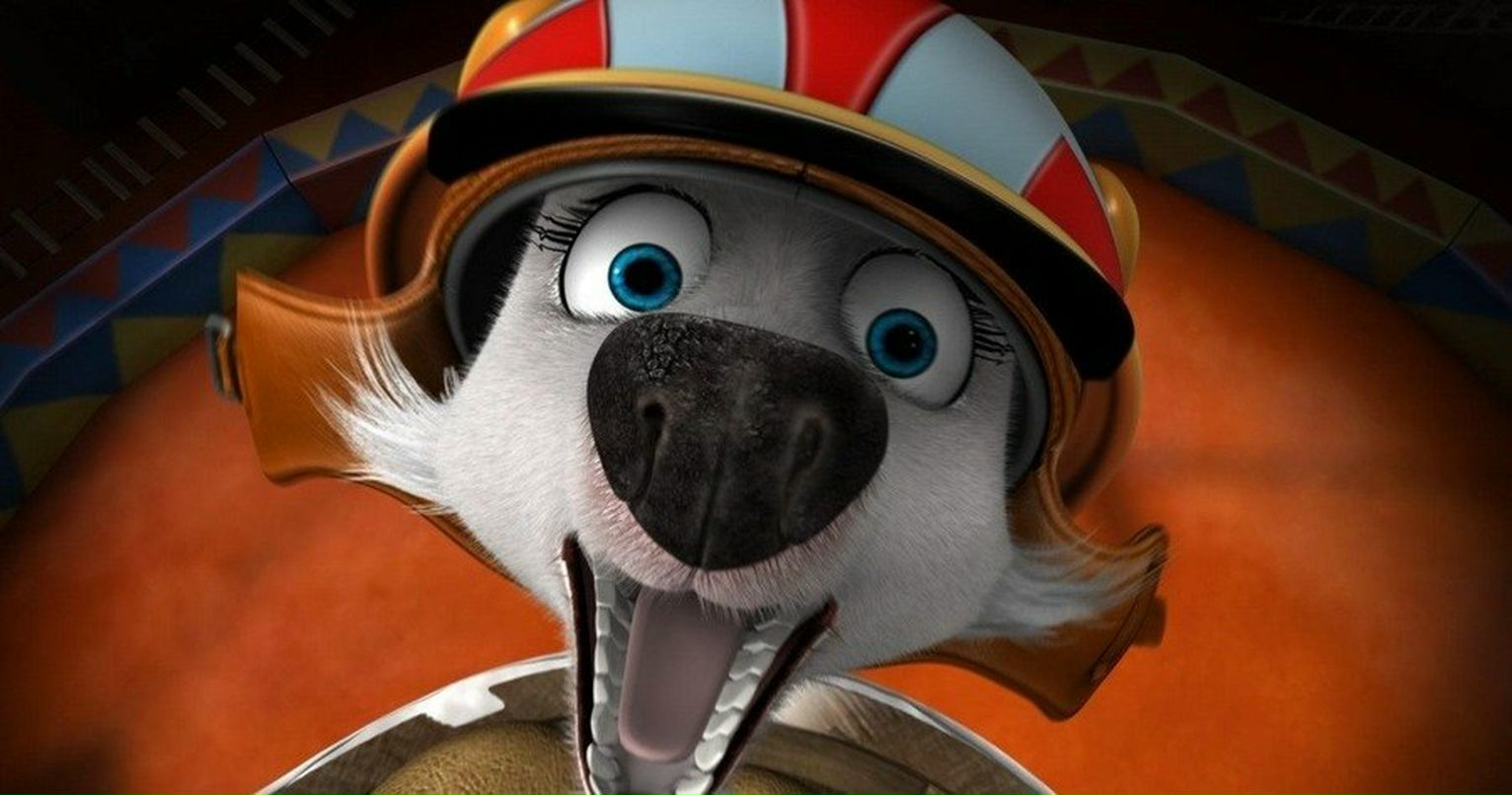 Ac Ac фотография #1