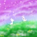 Марія Дідух фотография #4 (источник - https://vk.com/id89226691)