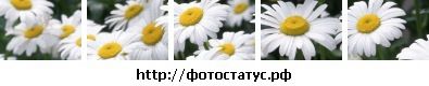 Аліна Аліна фотография #25 (источник - https://vk.com/id139146197)