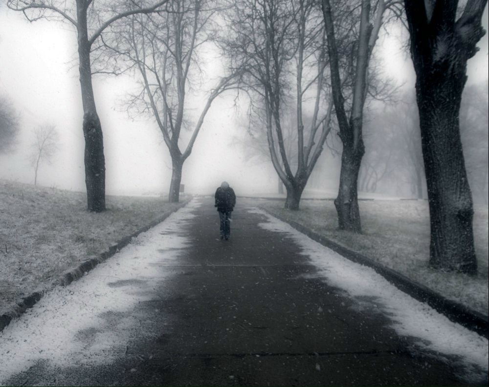 Евгений Быков фотография #29