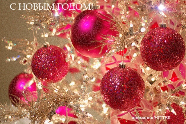 Тома Никоненко фотография #38