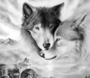 Фотография Костенко Оксаны