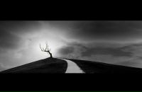 Фотография Дорохина Александра