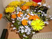 Фотография Есиной Полины