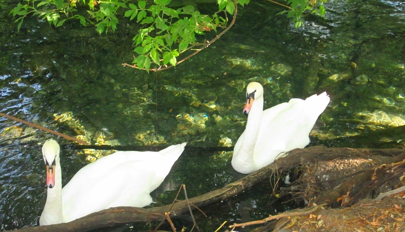 Ольга Гребенникова фотография #3