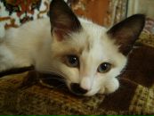 Фотография Александровой Кати