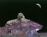 Максім Білоус фотография #16 (источник - https://vk.com/id86067799)