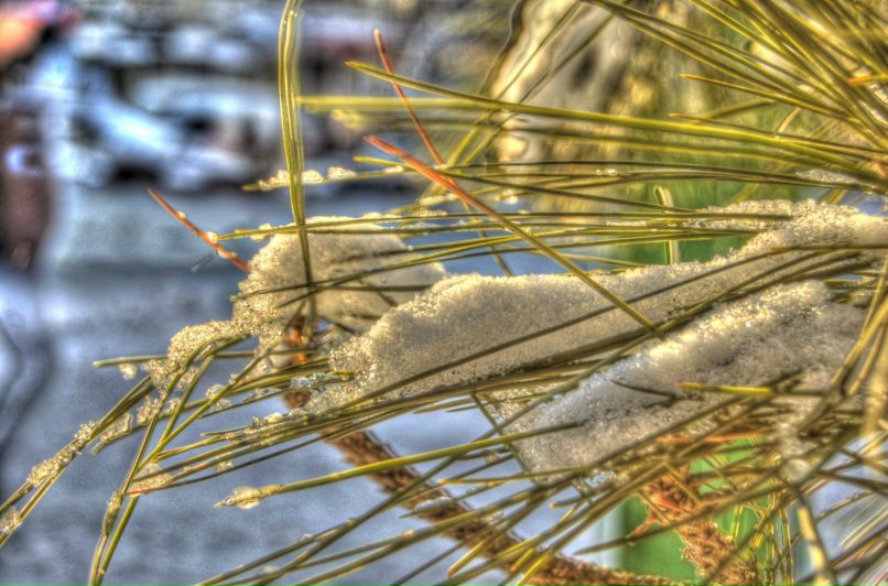 Святослав Тодер фотография #17