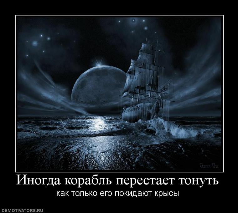 Ринат Лис фотография #29