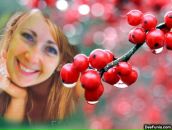 Фотография Мирлиной Вероники