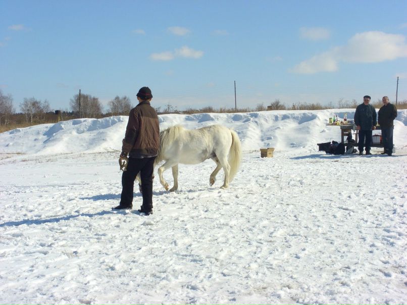 Людмила Плотникова фотография #49