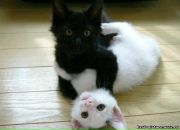 Фотография Копыловой Ксении