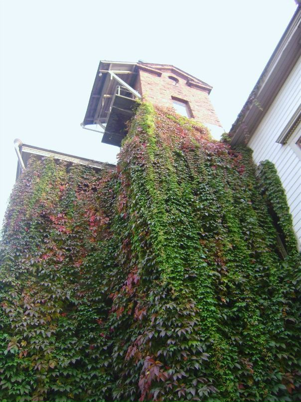 Serg Pol фотография #26